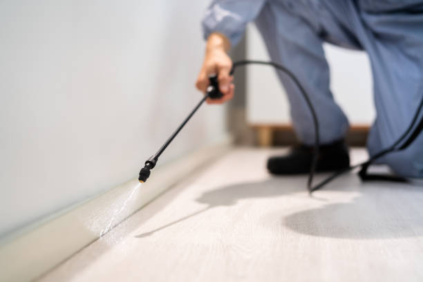 Bed Bug Pre-Treatment Preparation Assessment in Ellsworth
