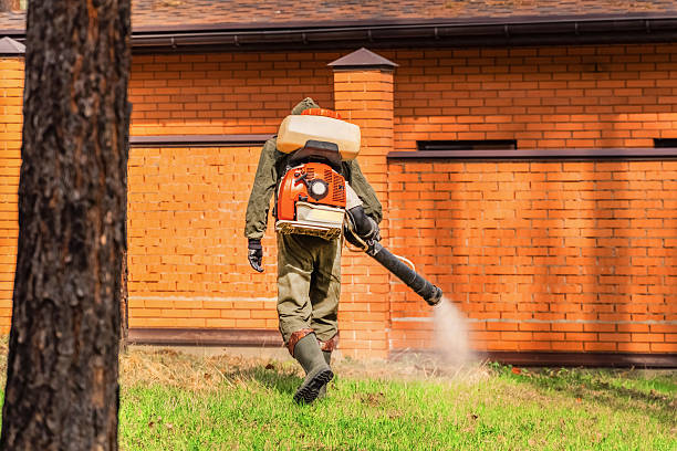 Bed Bug Clearance Verification and Documentation in Ellsworth